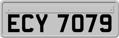 ECY7079