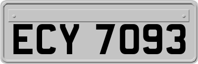ECY7093
