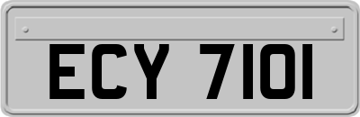 ECY7101