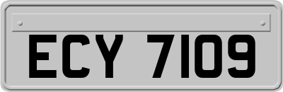 ECY7109