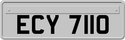 ECY7110