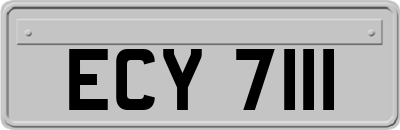 ECY7111