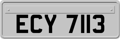 ECY7113