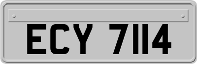 ECY7114