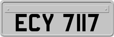 ECY7117