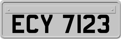 ECY7123