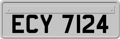ECY7124