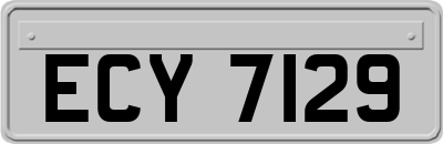 ECY7129