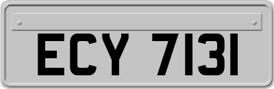 ECY7131