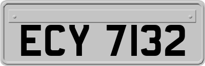 ECY7132