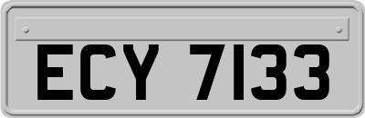 ECY7133