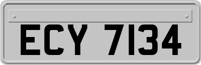 ECY7134