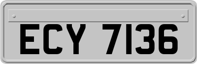 ECY7136