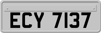 ECY7137