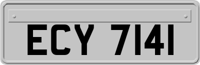 ECY7141
