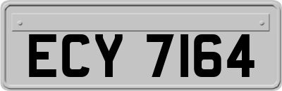 ECY7164