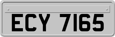 ECY7165