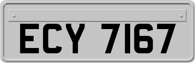 ECY7167