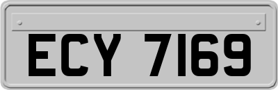 ECY7169
