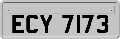 ECY7173