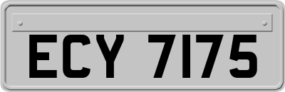 ECY7175