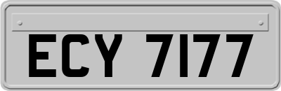 ECY7177