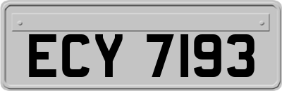 ECY7193