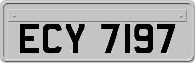 ECY7197