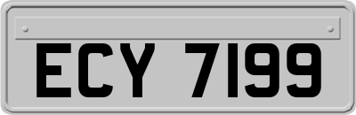 ECY7199