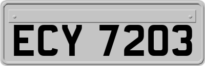 ECY7203