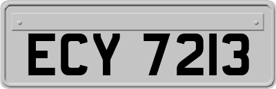 ECY7213