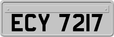 ECY7217