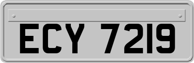 ECY7219