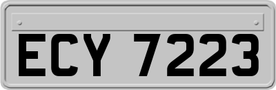 ECY7223