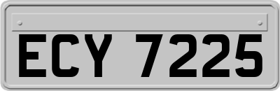 ECY7225