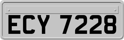 ECY7228