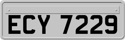 ECY7229