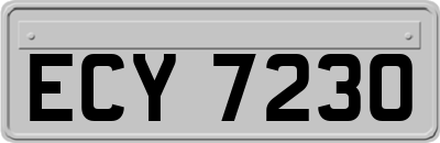 ECY7230