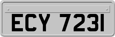 ECY7231