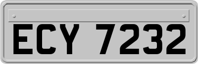 ECY7232