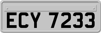 ECY7233