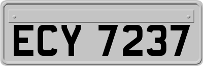 ECY7237