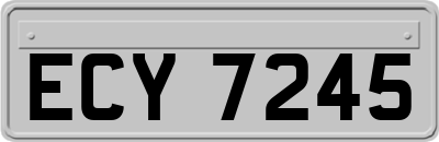 ECY7245
