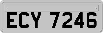 ECY7246
