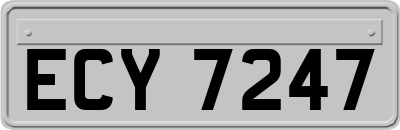 ECY7247