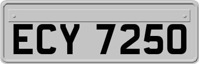ECY7250