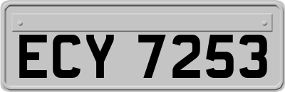 ECY7253