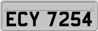 ECY7254