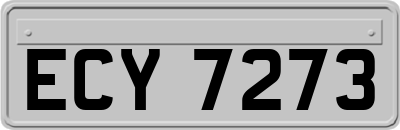 ECY7273
