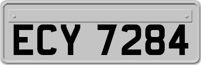 ECY7284